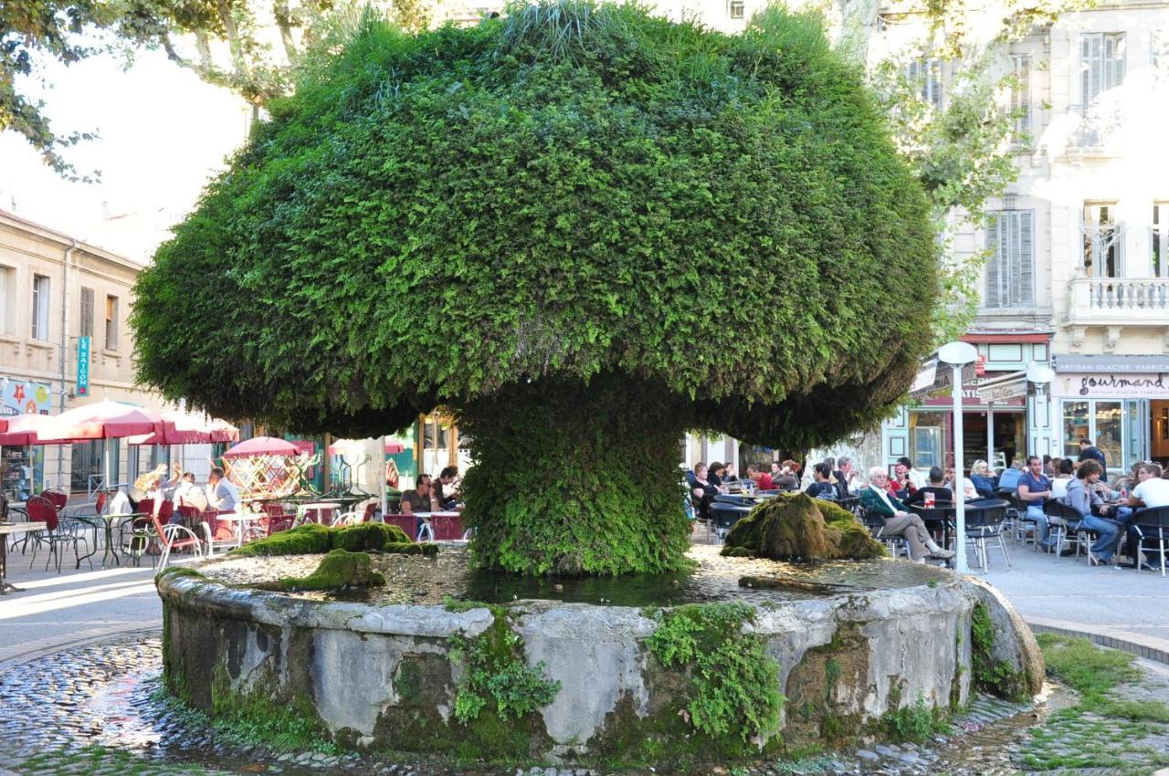 La Pause Salonaise "Au Coeur De La Ville" Buitenkant foto